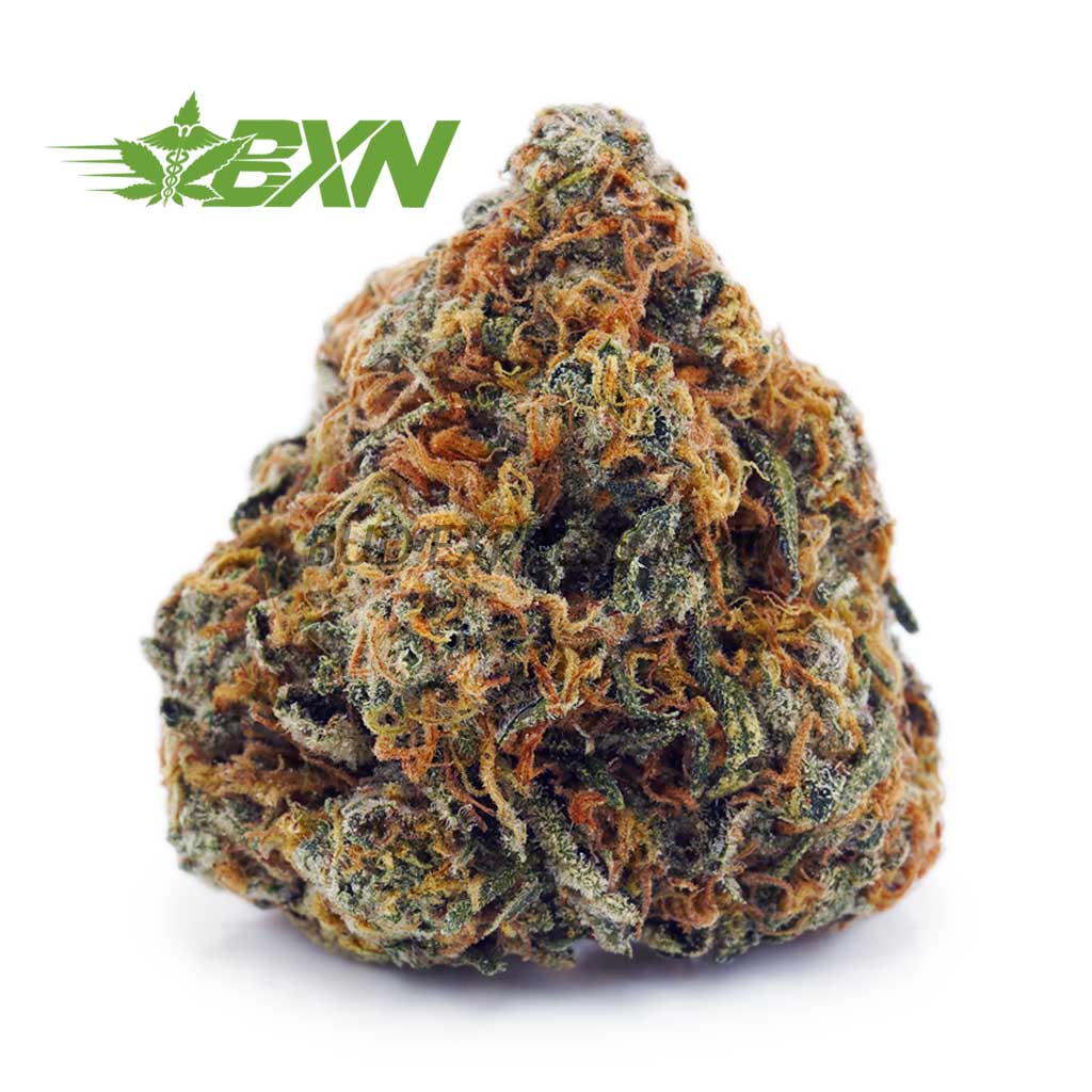 Buy Lindsay OG AA Online - BudExpressNOW