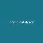 Brand catalyser Profile Picture