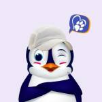 Aashvi Rana Profile Picture